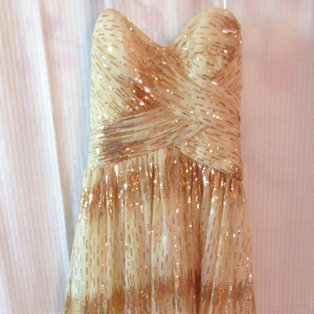 COPY - NEW Roberta Ivory Gold Sequin Formal Dress Gown